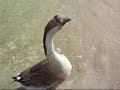 ????????????