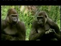Best Ads  Super Bowl 2007  2nd Half