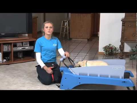 how to use the treadmill