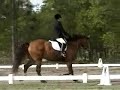 Jasmine Farm SCDCTA Schooling Show 4-26-08 Jasmine Farm SCDCTA Schooling Show 4-26-08
