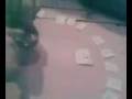 videos de Weegi bord