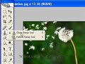 photoshop clone stamp tool