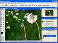 photoshop clone stamp tool
