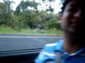 videos de Piha beach