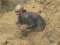 BrtKtv 2009-10-21~25 Tambang Emas Ancam TNRAW & Ribuan Hektar Sawah Mengering.mpg.wmv