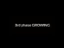 hydroponic growit system tips, tricks and setup.