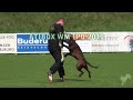 Preview video <strong>Trailer ATIBOX WM IPO 2011 </strong>