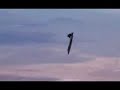 F-22 Raptor F-22 Raptor