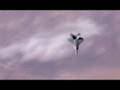 F-22 Raptor