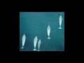 videos de A Narwhal's Tale
