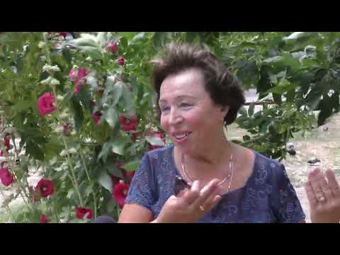 Просмотр видео Просмотр видео