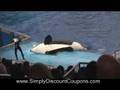 SeaWorld Shamu Believe Show Funny Blooper! Sea World