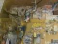 videos de Goldstar Outdoors Hunting & Fishing Store Edmore, Michigan