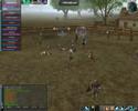 lineage2