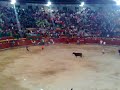 Mandunca y su vaquilla