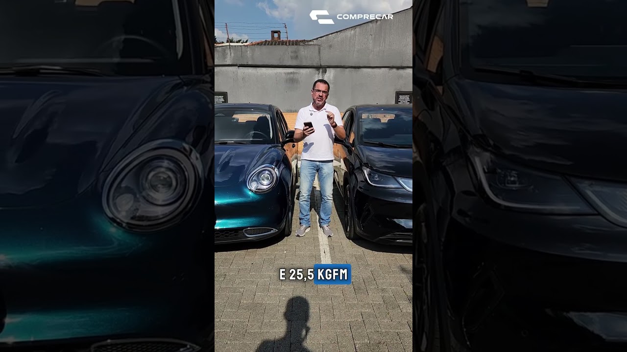 BYD DOLPHIN SE VS GWM ORA SKIN