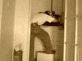 Bad day at work