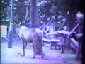 Granby Zoo 1970s Visit #2
