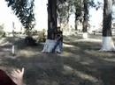 producciones-pajaro-metal-gear-solid-jox-final-mission.html