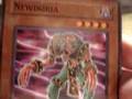 Yu-Gi-Oh Gold Series Edition LIVE Box Break Crush Card CCV?