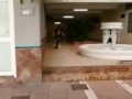 Alex 2 Escalera (2)
