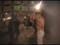 CONJUNTO LA BAMBA EL CORRIDO DEL MION