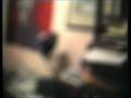 Il topo - The Mouse