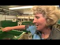 Marine Ecology - Newfoundland and Labrador Canada