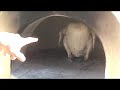How to make Beer Can Chicken in a...