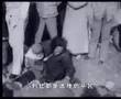 shanghai-baby2