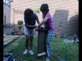 Zagen zagen wiele2 wagen
