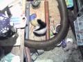 Kitt Shed - Panasonic BL-C111 (2-24-2010 01h20m).avi