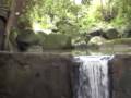 Koh Samui-Magic Garden- Sehenswürdigkeiten- Mönch