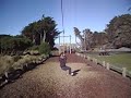 flying fox again