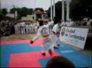 taekwon do litoral