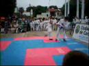 taekwon do litoral