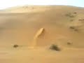UAErc Baja5b faiah
