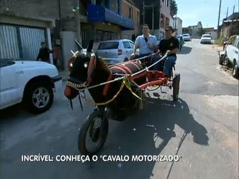 CAVALO MECÂNICO - O autor da invenção foi criado no campo, no interior do Paraná, e quando chegou em São Paulo, teve a ideia de poupar o animal, sem abrir mão da charrete. Ele...