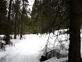 Snowboard tree crash