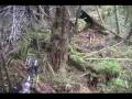 Cameron Hanes' Hoyt Bowhunting Highlight Reel