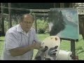 William Bill Alexander happy painter