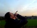 WIDGE WID A FIREWORK WIDGE WID A FIREWORK