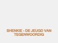 shenkie koetjesrepen