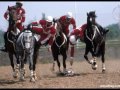 discipline �questre