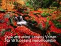 Tanging Yaman MV