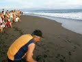 Playa La Barqueta Turtle Release Nov 2007