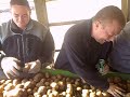 så er der kartofler så er der kartofler