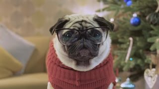 Vision Direct Christmas Commercial