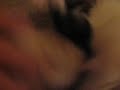 ferret hissing ferret hissing