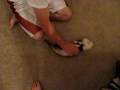 ferret hissing